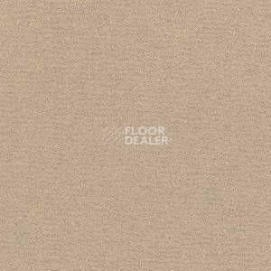 Ковролин Radici Nexus Nocciola 8219 фото 1 | FLOORDEALER